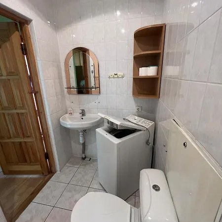 Cozy Near Santariskes