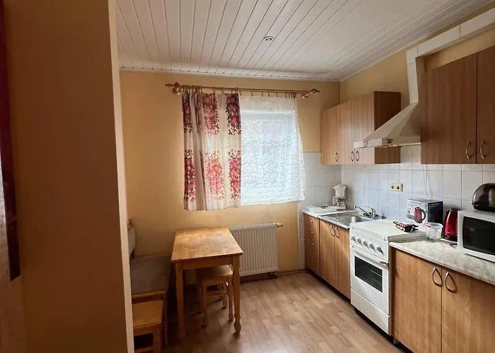 Cozy Near Santariskes Apartment