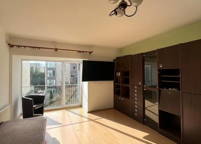 Apartment Cozy Near Santariskes